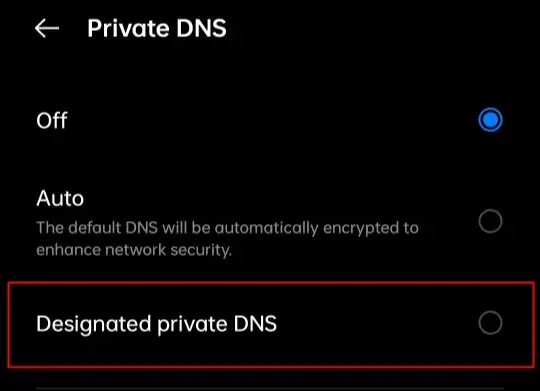 designated private dns